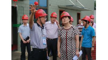 南寧市委常委、副市長(zhǎng)陳穎一行蒞臨公司調(diào)研