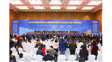 王雙飛董事長在2019年服務(wù)業(yè)和農(nóng)業(yè)高質(zhì)量發(fā)展銀企對接自治區(qū)集中簽約活動(dòng)上作交流發(fā)言