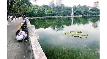 “蛙來了”~聽說這波操作賊可愛！
