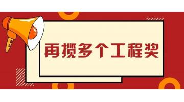 贊！博世科參建的多個(gè)項(xiàng)目榮獲優(yōu)質(zhì)工程獎(jiǎng)